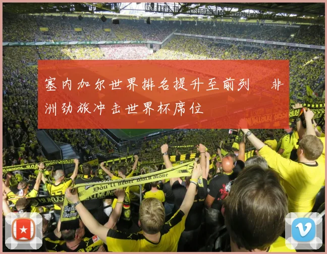 塞内加尔世界排名提升至前列 非洲劲旅冲击世界杯席位