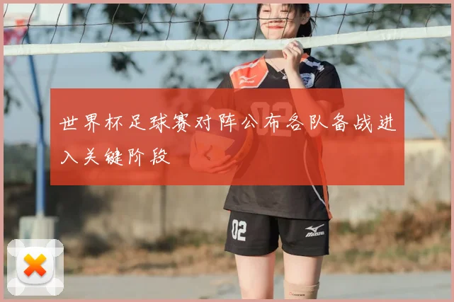 世界杯足球赛对阵公布各队备战进入关键阶段