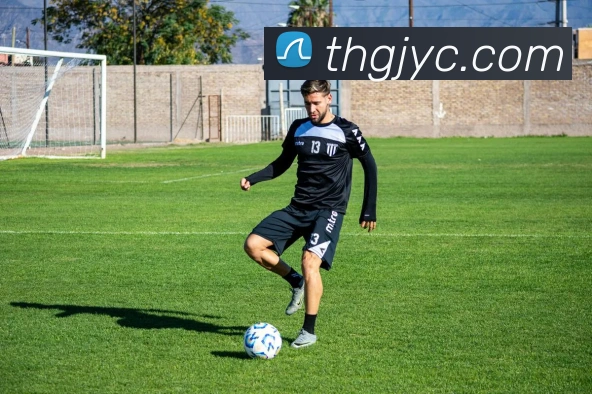 开云手机在线登陆入口平台生态图